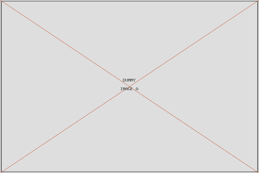 DUMMY – Unbuilding the Pyrocene